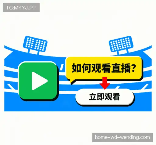解答指南